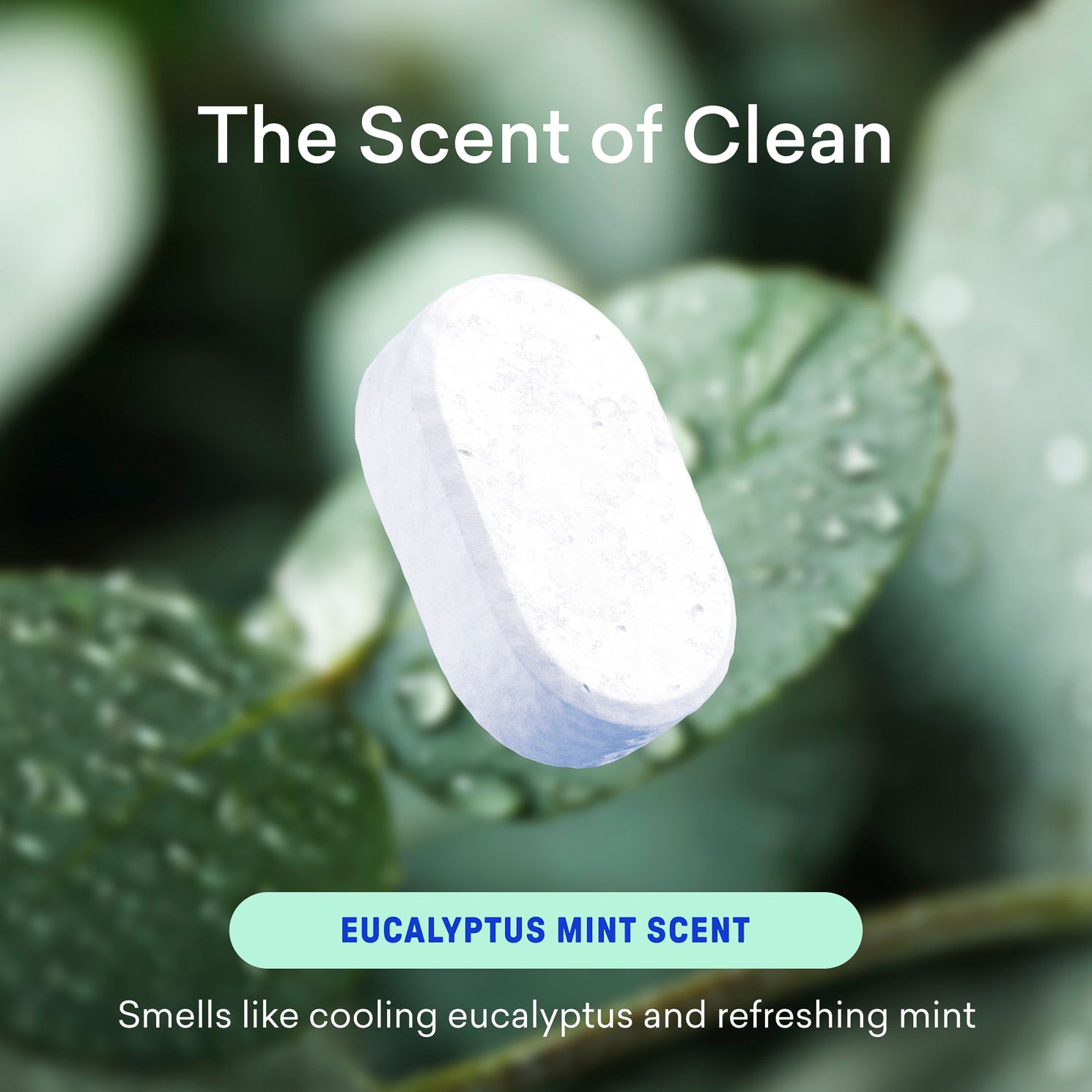 Bathroom Cleaner Starter Set - Kitchen Cleaner For Busy Homes