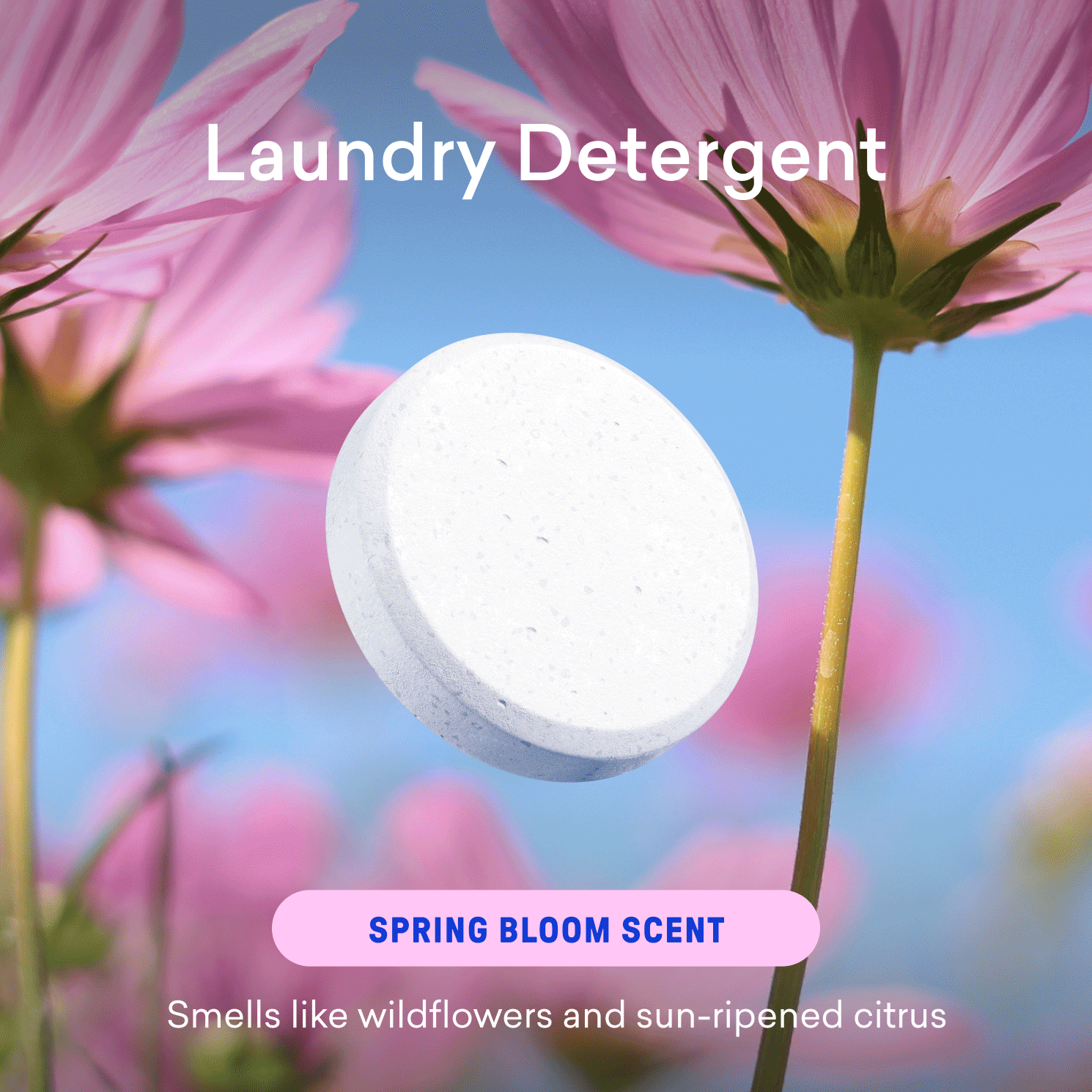 Dishwasher & Laundry Detergent Kit - Refillable Cleaning Kit