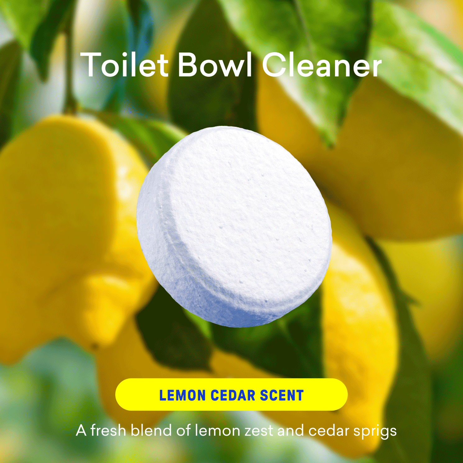 Dishwasher Detergent & Toilet Bowl Cleaner Kit - Practical Cleaning Tablets