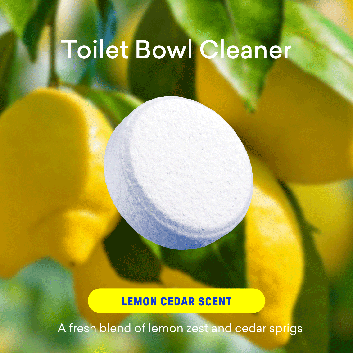 Laundry Detergent & Toilet Bowl Cleaner Kit - Neat Home Care